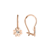 Ohrhänger Bild 1