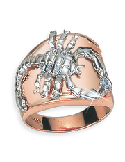 Herrenring mit  Zirkonia Bild 1
