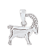 Anhänger Sternzeichen Steinbock
