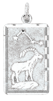 Anhänger Sternzeichen Steinbock Bild 1