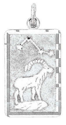 Anhänger Sternzeichen Steinbock Bild 1