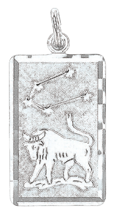 Anhänger Sternzeichen Stier Bild 1