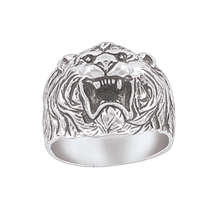 Herrenring Bild 1