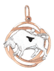 Anhänger Sternzeichen Stier Bild 1