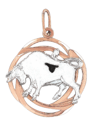 Anhänger Sternzeichen Stier Bild 1