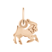 Anhänger Sternzeichen Steinbock Bild 1