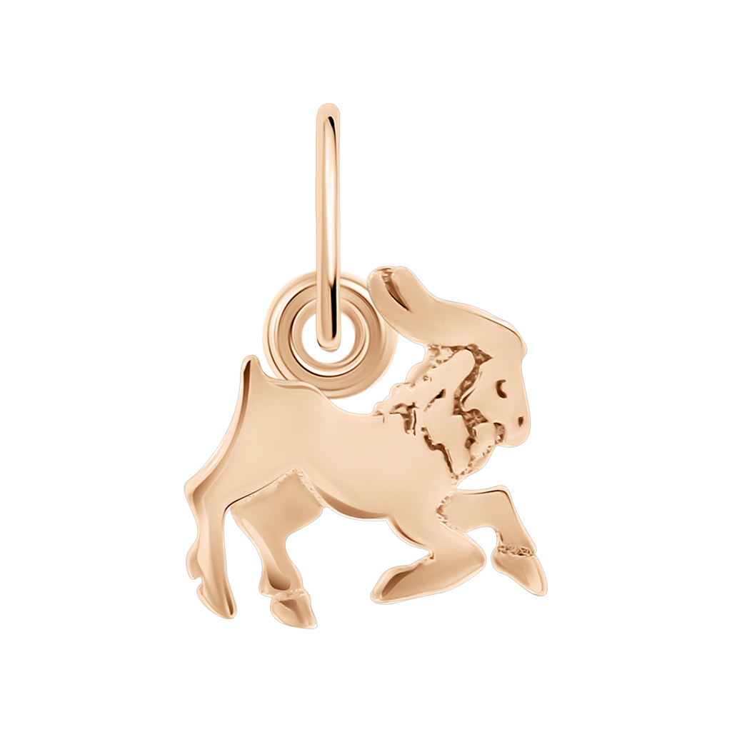 Anhänger Sternzeichen Steinbock Bild 1