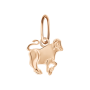 Anhänger Sternzeichen Stier Bild 1