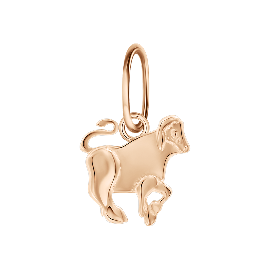 Anhänger Sternzeichen Stier Bild 1
