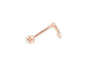 Nasenstecker Bild 1