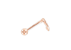 Nasenstecker Bild 1