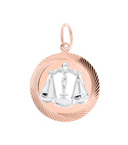 Anhänger Waage Bild 1