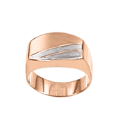 Herrenring Bild 1