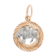 Anhänger Sternzeichen Stier Bild 1