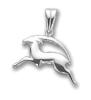 Anhänger Sternzeichen Steinbock Bild 1