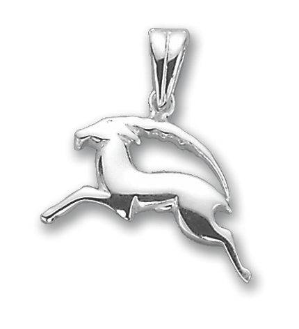 Anhänger Sternzeichen Steinbock Bild 1