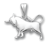 Anhänger Sternzeichen Stier Bild 1