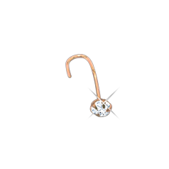 Nasenstecker Bild 1